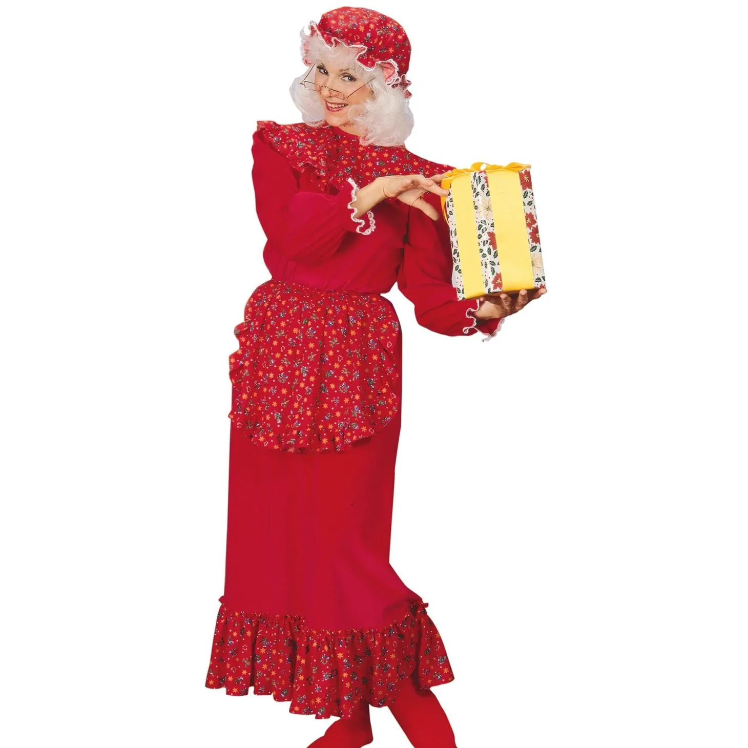 Mrs. Claus Womens Costume