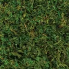 Natural Moss, 4.2oz