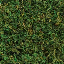 Natural Moss, 4.2oz