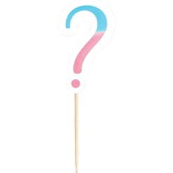 Pink & Blue Question Mark Party Picks, 24ct - Gender Reveal
