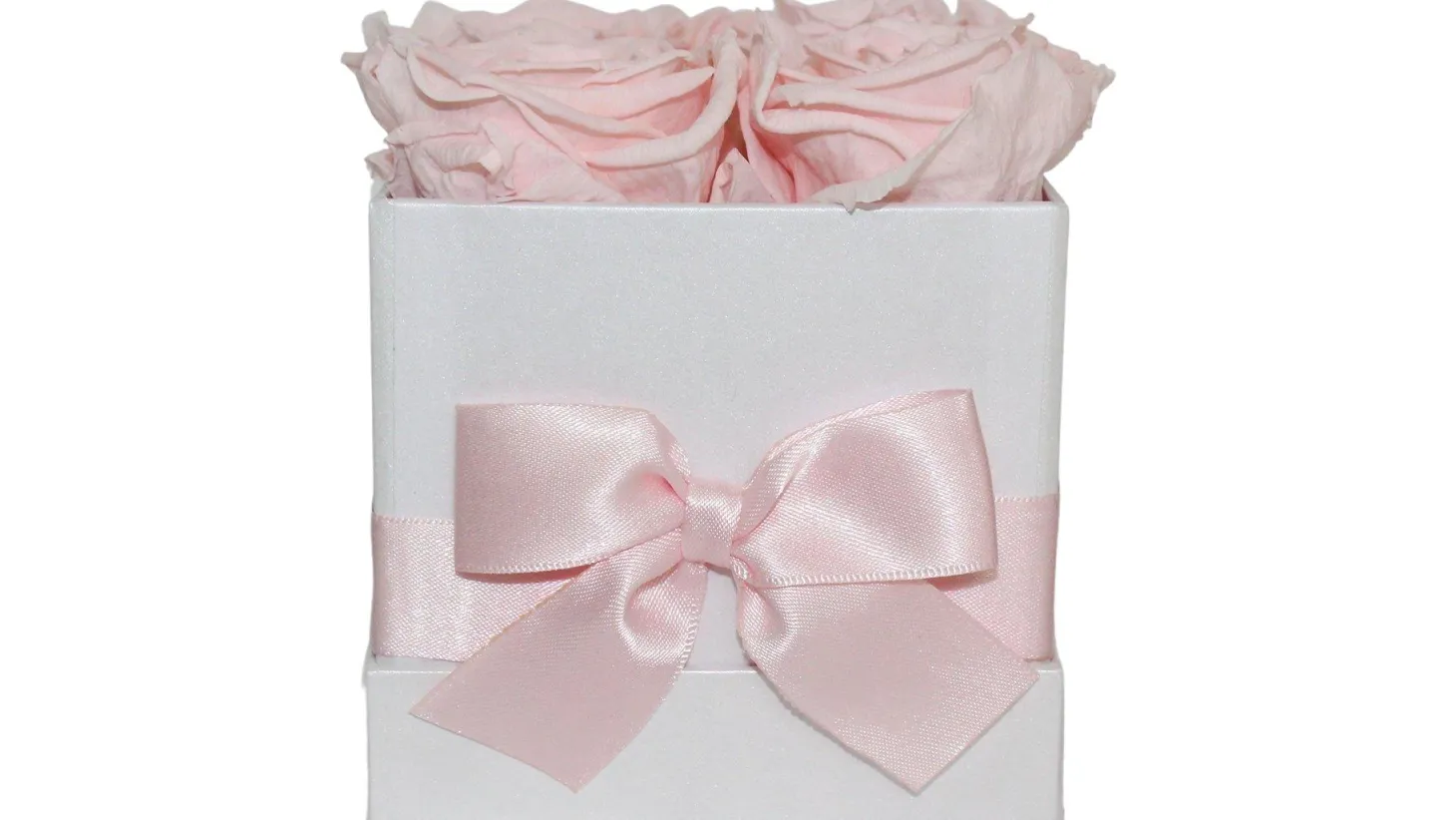 Pink Champagne Preserved Roses Gift Box (4 ct)