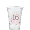 Pink & Rose Gold 16 & Fab Plastic Cups, 16oz, 20ct - Sweet Sixteen