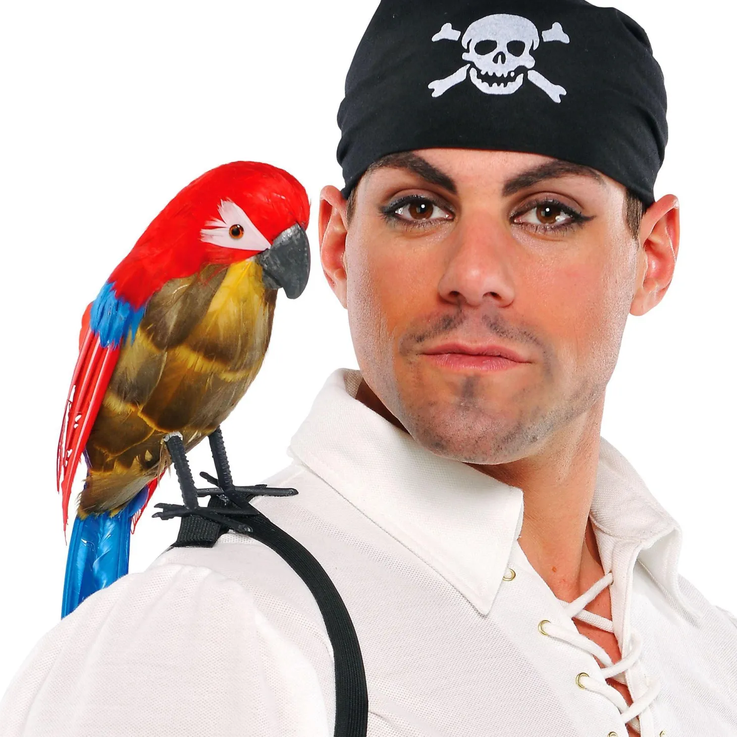 Pirate Parrot