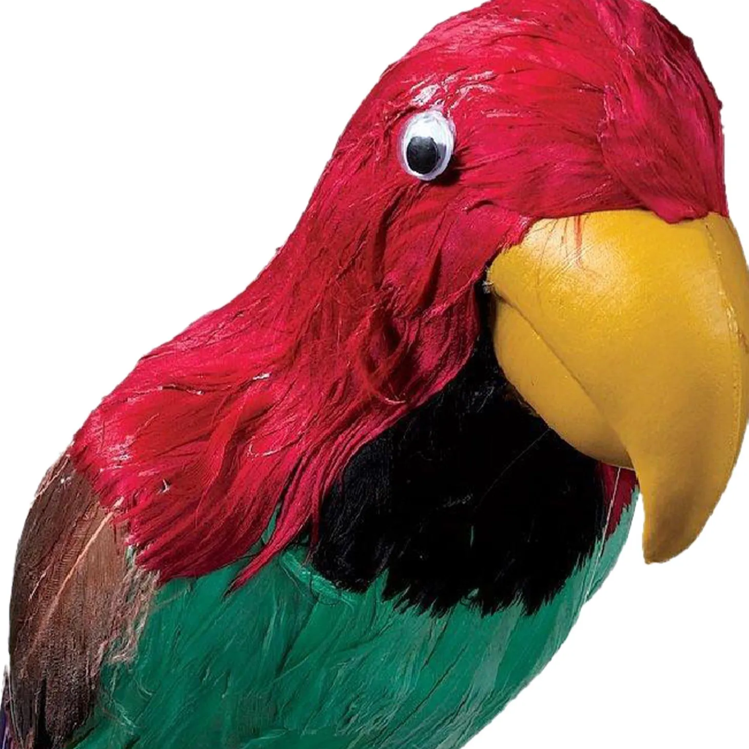 Pirate Parrot