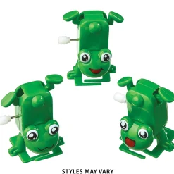 Plastic Wind-Up Frog Toy