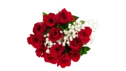 Premium Red Rose Flower Bouquet (12 ct)
