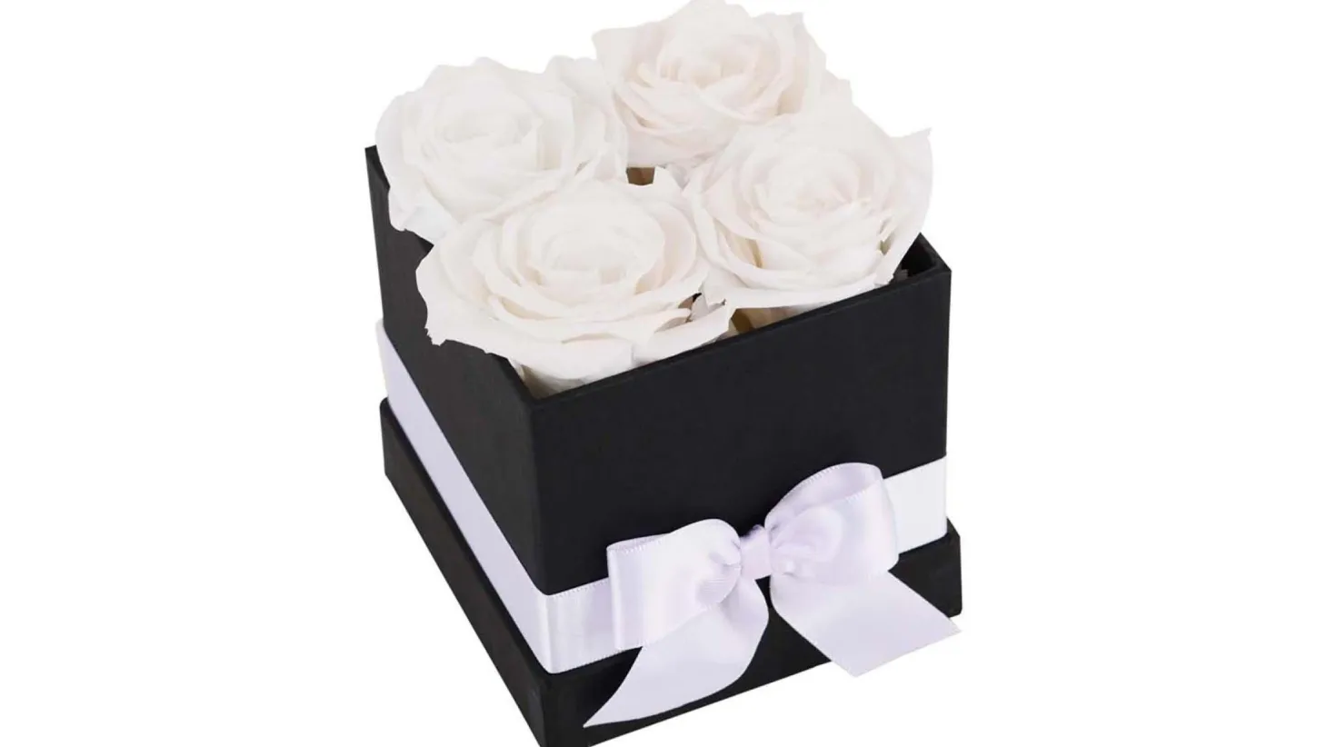 Princess White Preserved Roses Gift Box (4 ct)