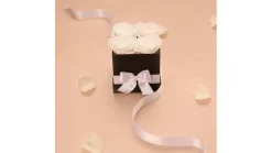 Princess White Preserved Roses Gift Box (4 ct)
