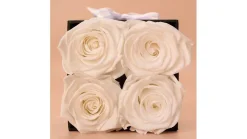 Princess White Preserved Roses Gift Box (4 ct)