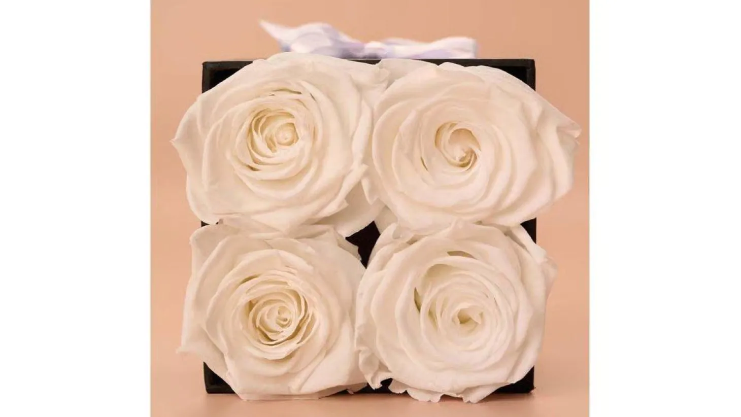 Princess White Preserved Roses Gift Box (4 ct)