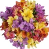 Rainbow Alstroemeria Flower Bouquet (10 ct)