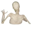 Rattles the Groundbreaking Skeleton Plastic Yard Decorating Kit, 4ft