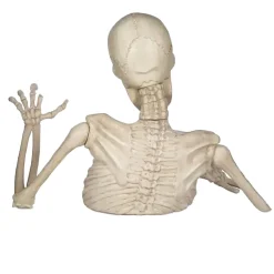 Rattles the Groundbreaking Skeleton Plastic Yard Decorating Kit, 4ft