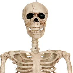Realistic Hanging Skeleton, 3ft - Halloween Decoration