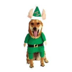 Santa's Lil Helper Walking Pet Costume