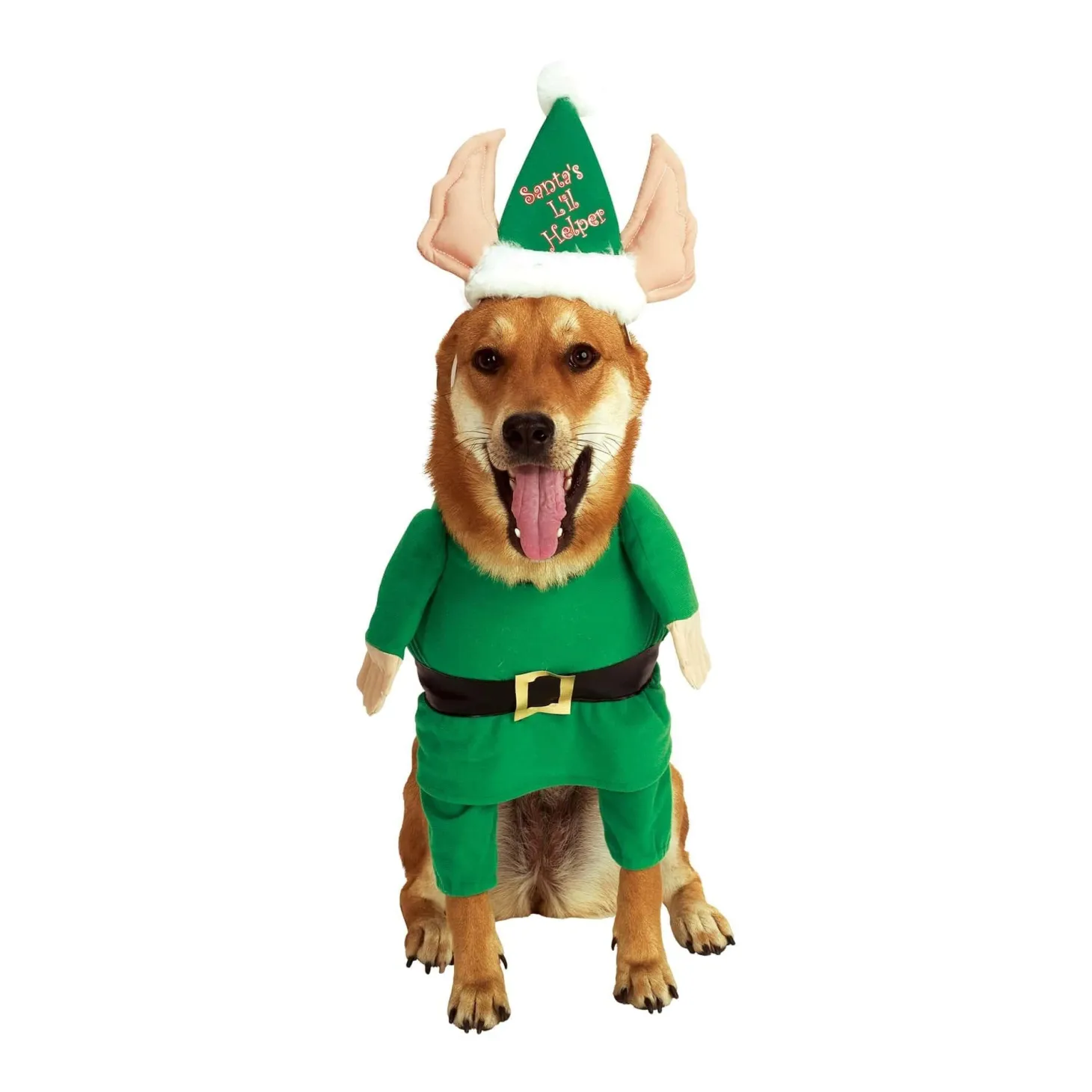 Santa's Lil Helper Walking Pet Costume