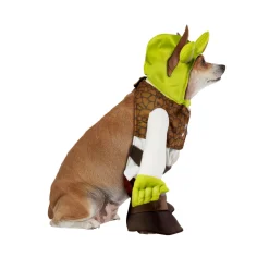 Shrek Walking Pet Costume