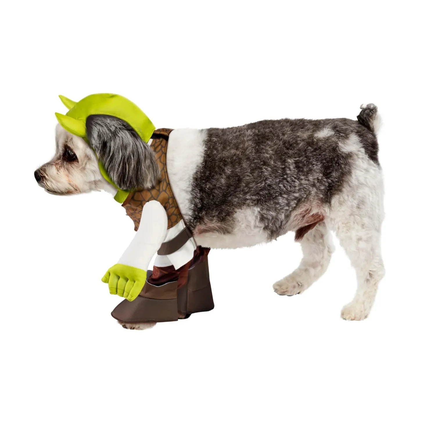 Shrek Walking Pet Costume