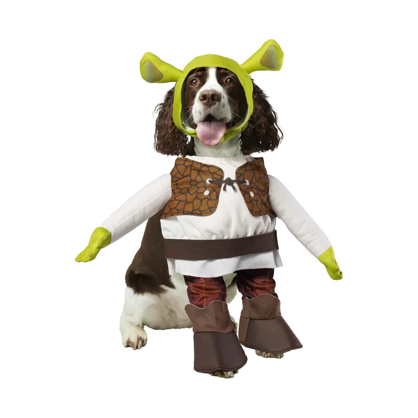 Shrek Walking Pet Costume