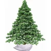 Snow Drape