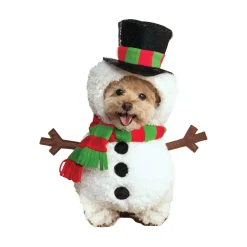 Snowman Walking Pet Costume