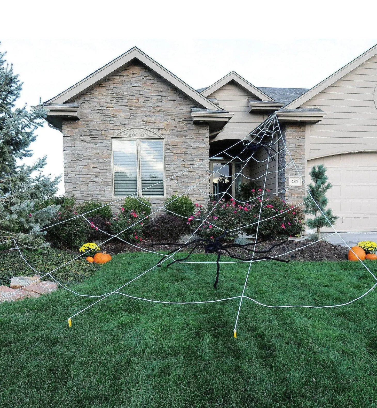 Spider Web Yard Decoration