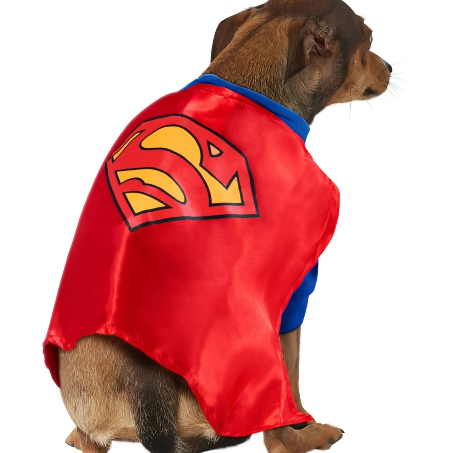 Superman Pet Costume with Cape