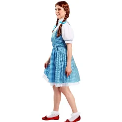 Teen Girls' Wizard of Oz Dorothy Costume