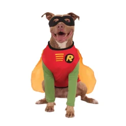 Teen Titans Robin Big Dog Pet Costume
