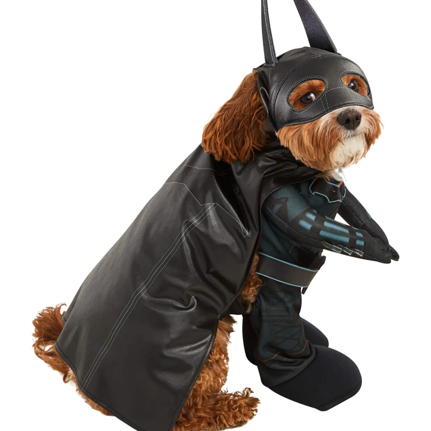 The Batman Pet Costume