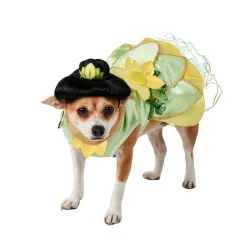The Princess and The Frog Tiana Pet Costume