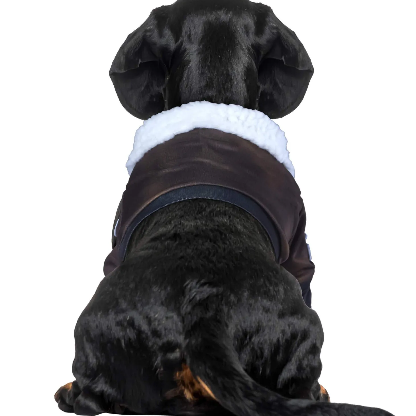 Top Gun Pet Jacket