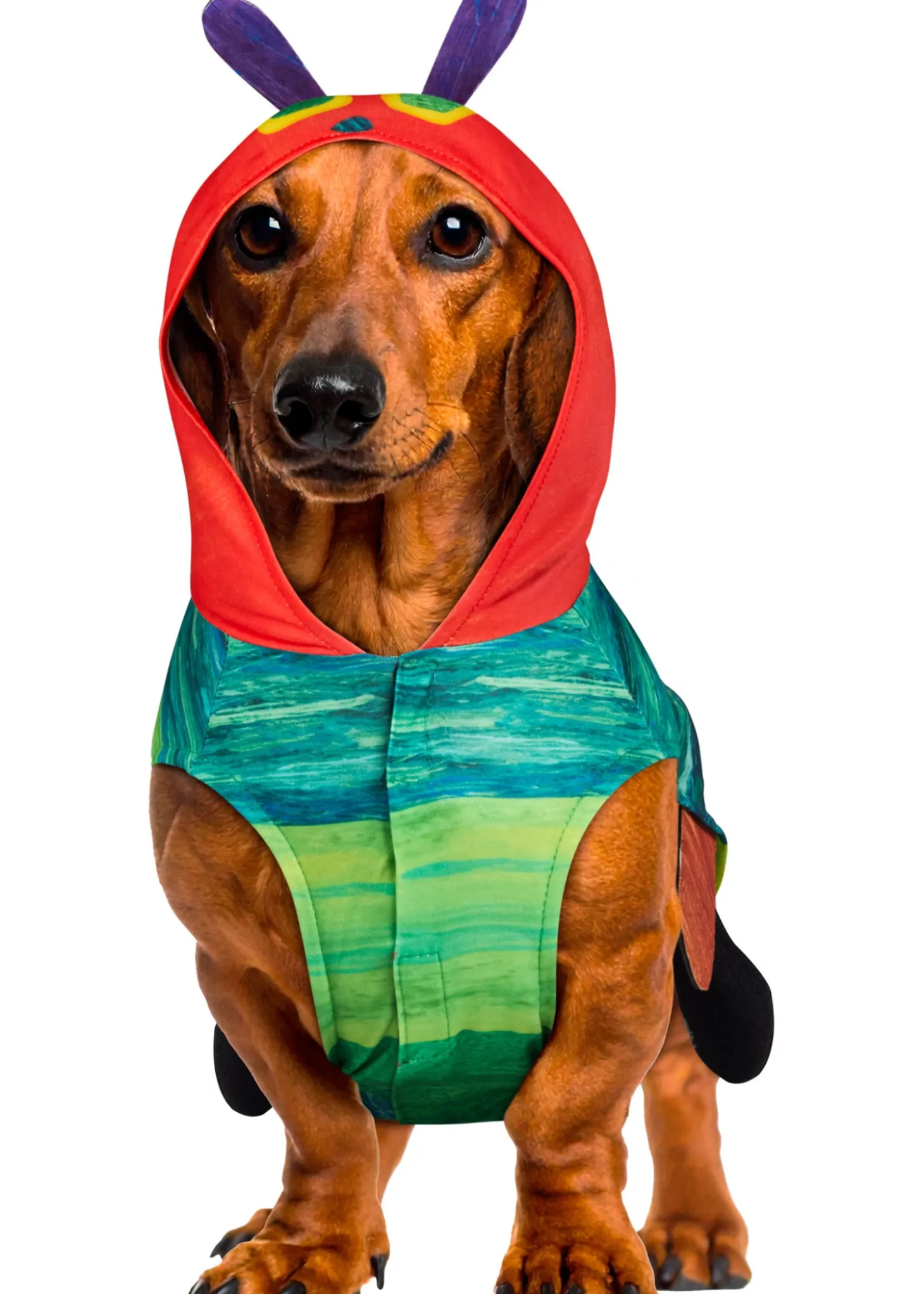 Very Hungry Caterpillar Pet Costume