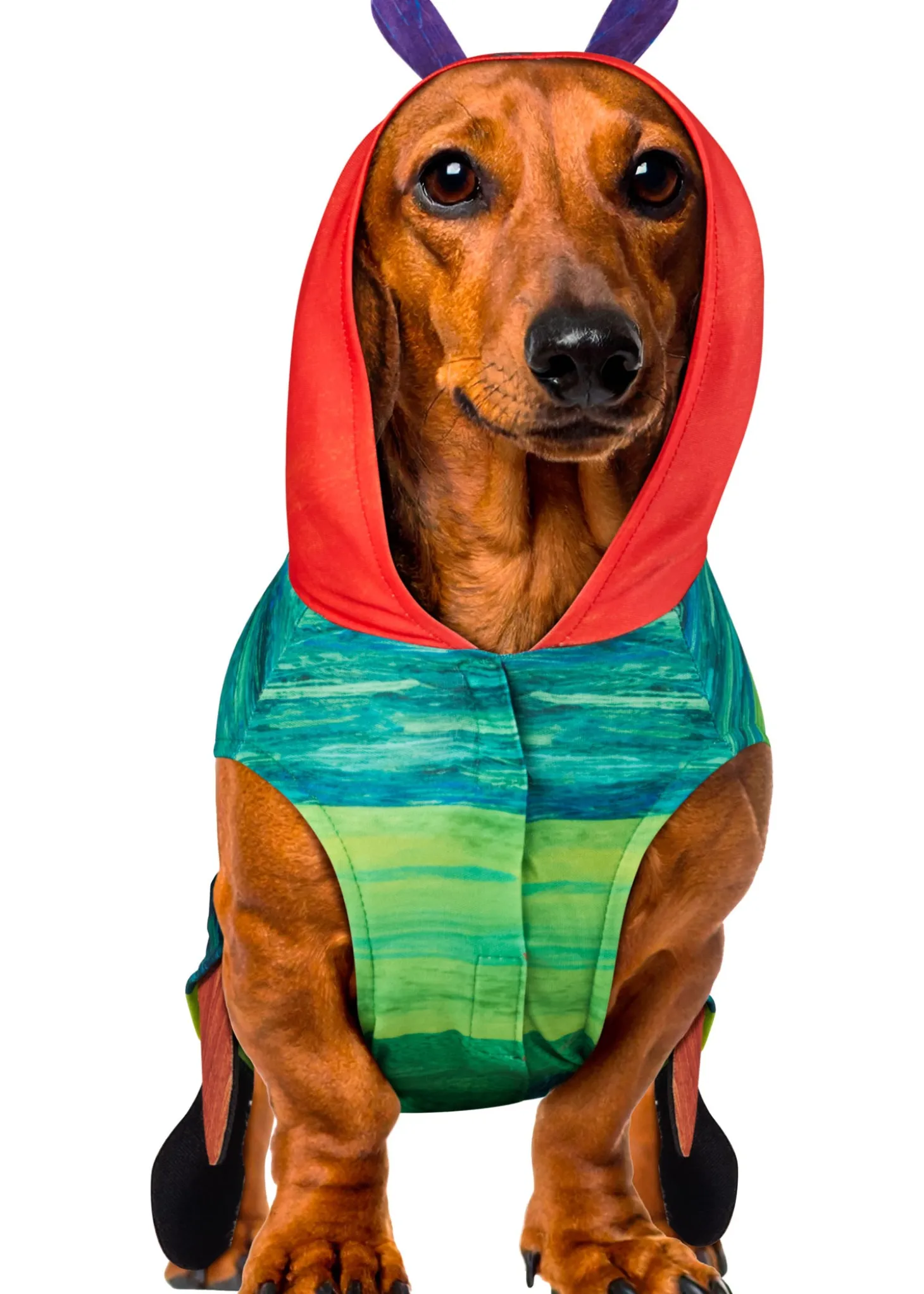 Very Hungry Caterpillar Pet Costume