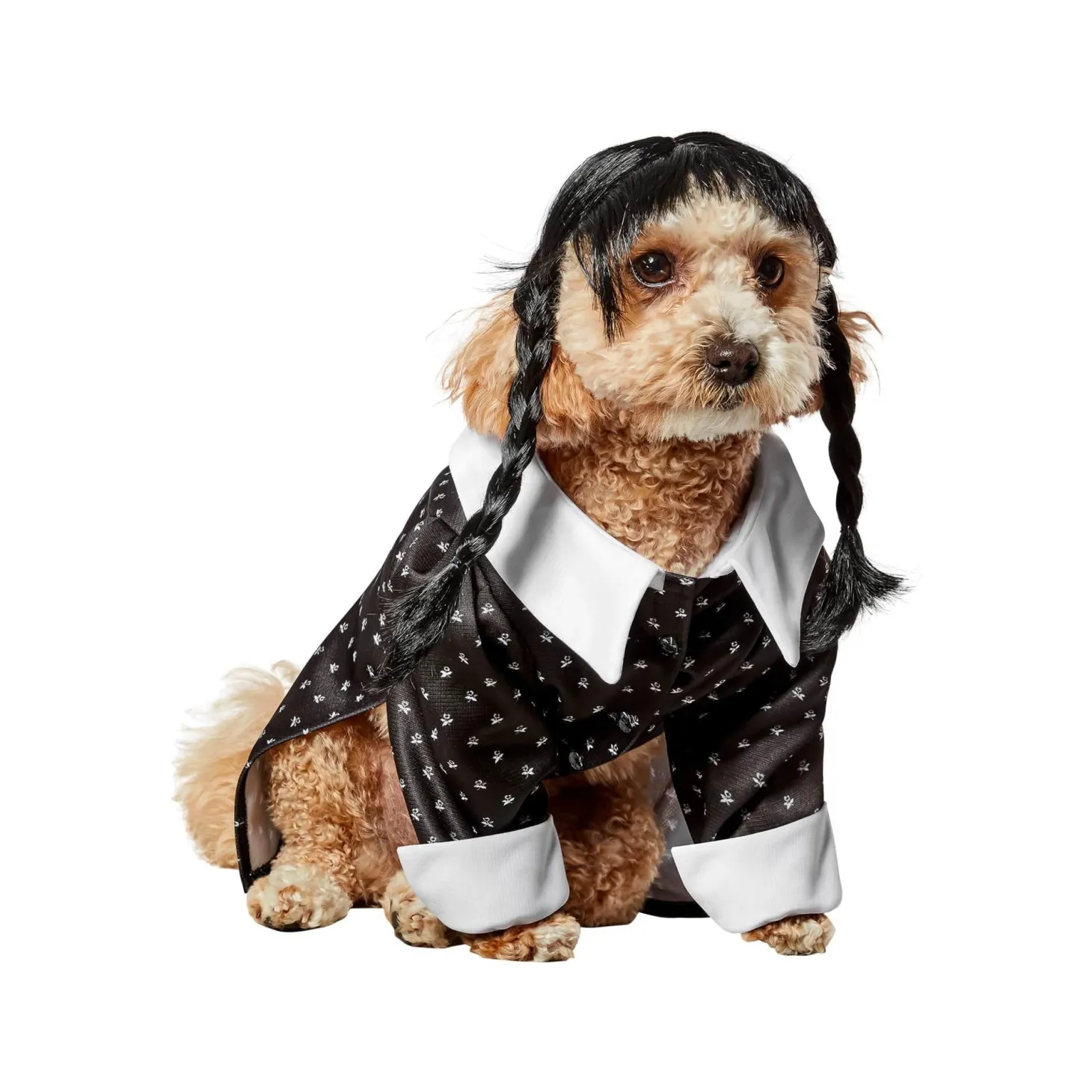 Wednesday Addams Pet Costume