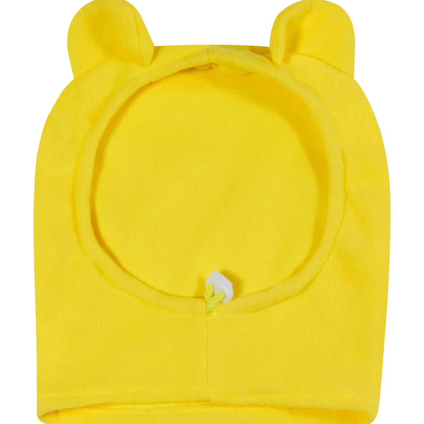 Winnie the Pooh Dog Costume