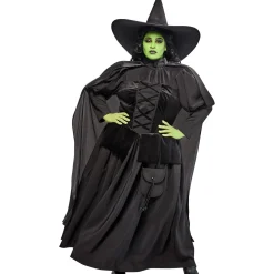 Women's Plus Size The Wizard of Oz Wicked Witch Costume