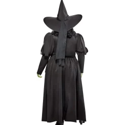 Women's Plus Size The Wizard of Oz Wicked Witch Costume