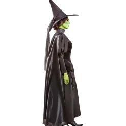 Women's The Wizard of Oz Wicked Witch Costume - Deluxe