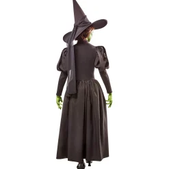 Women's The Wizard of Oz Wicked Witch Costume - Deluxe