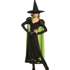Women's Wizard of Oz Wicked Witch Costume